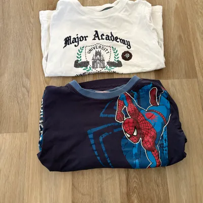 Lot de 2 tee shirt garçon / 4 ans / bon état 